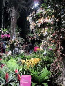 Best Flowers in New York City